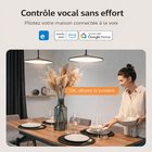 Interrupteur WiFi controle vocal sans effort