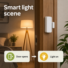 Smart light scene triggered by Zigbee door sensor opening
