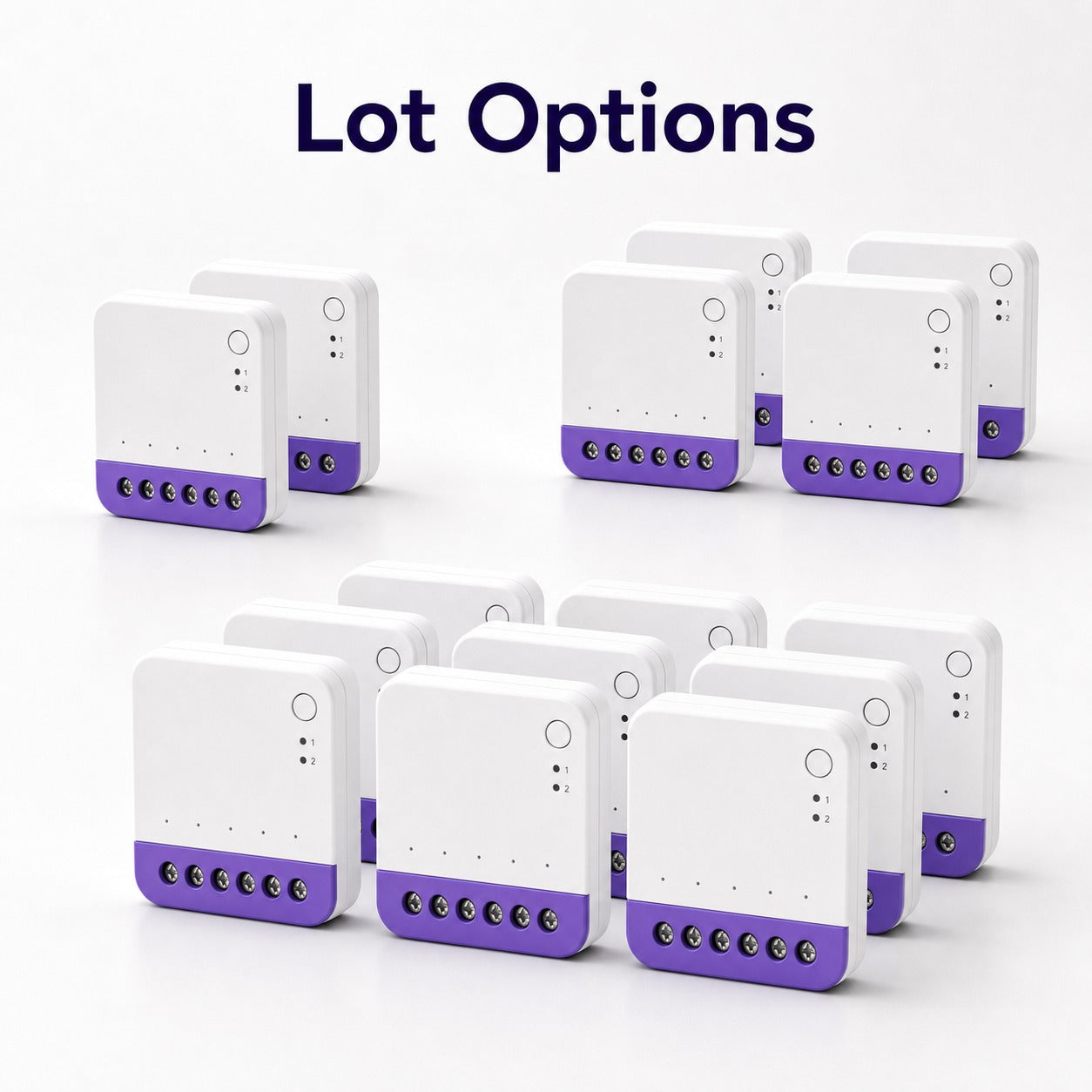 Options de lots pour modules NéoRelay Dual Lite Pro