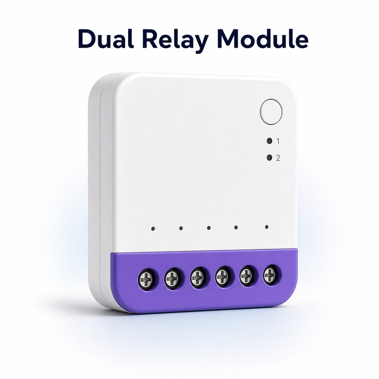 Module double relais NéoRelay Dual Lite Pro en gros plan