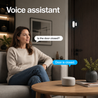 Voice assistant scene checking whether the door is closed