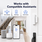 Generic compatible assistant and smart scene overview