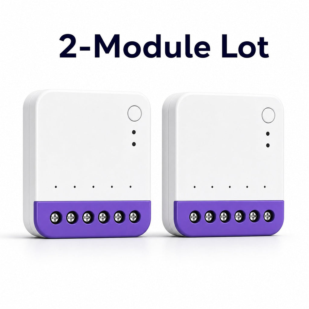 Lot de 2 modules NéoRelay Dual Lite Pro