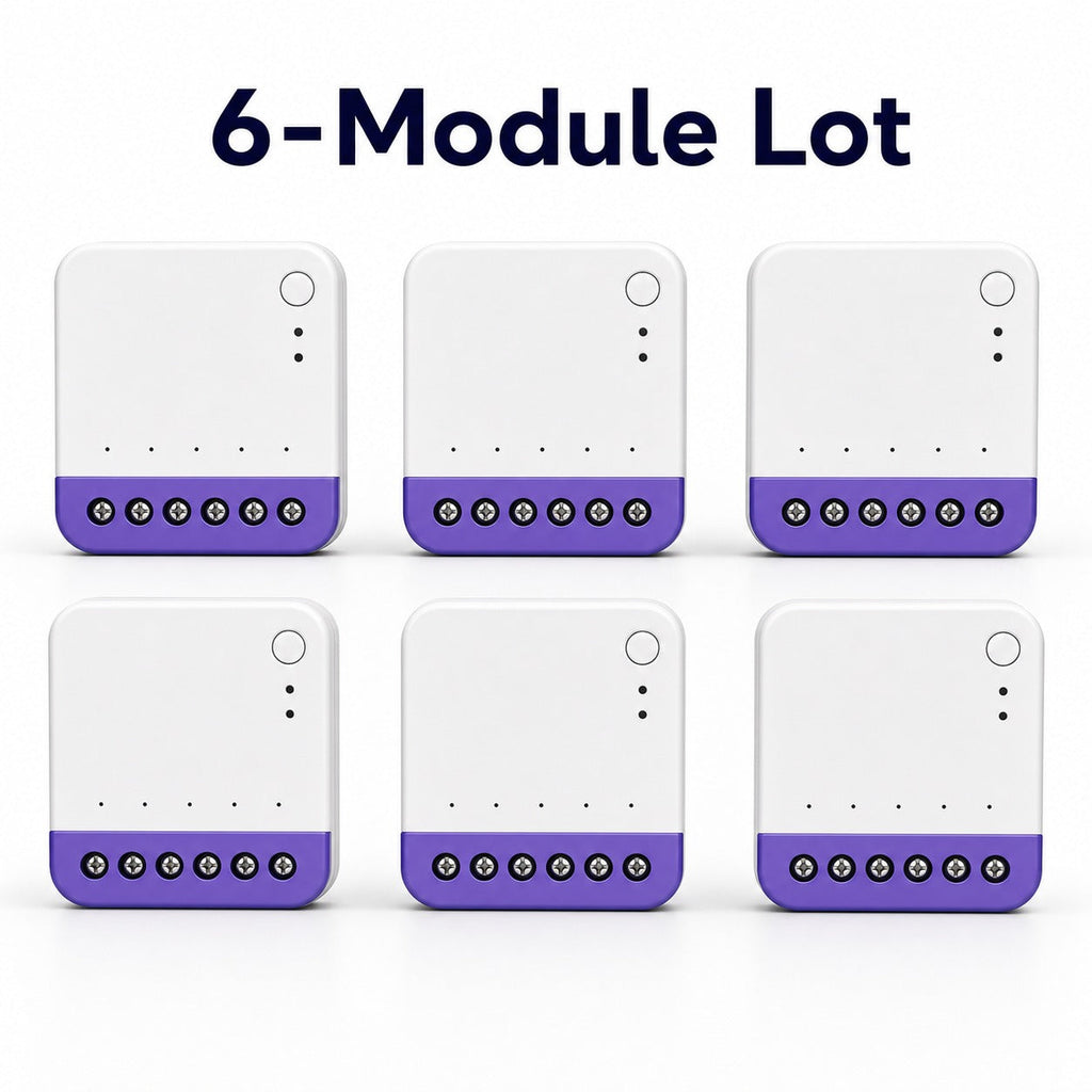 Lot de 6 modules NéoRelay Dual Lite Pro