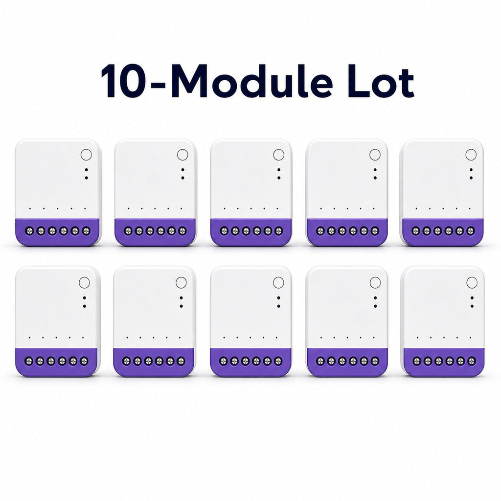 Lot de 10 modules NéoRelay Dual Lite Pro