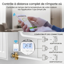 Infographie NéoMini Comfort 1 montrant le contrôle à distance et la compatibilité des adaptateurs de radiateur.