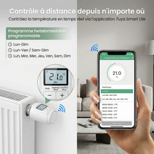 Infographie NéoMini Comfort 1 montrant le contrôle à distance avec programme hebdomadaire sur smartphone et vanne sur radiateur.