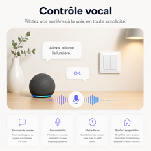 Infographie NéoForce Comfort présentant le contrôle vocal d’un équipement connecté dans une pièce avec assistant vocal.