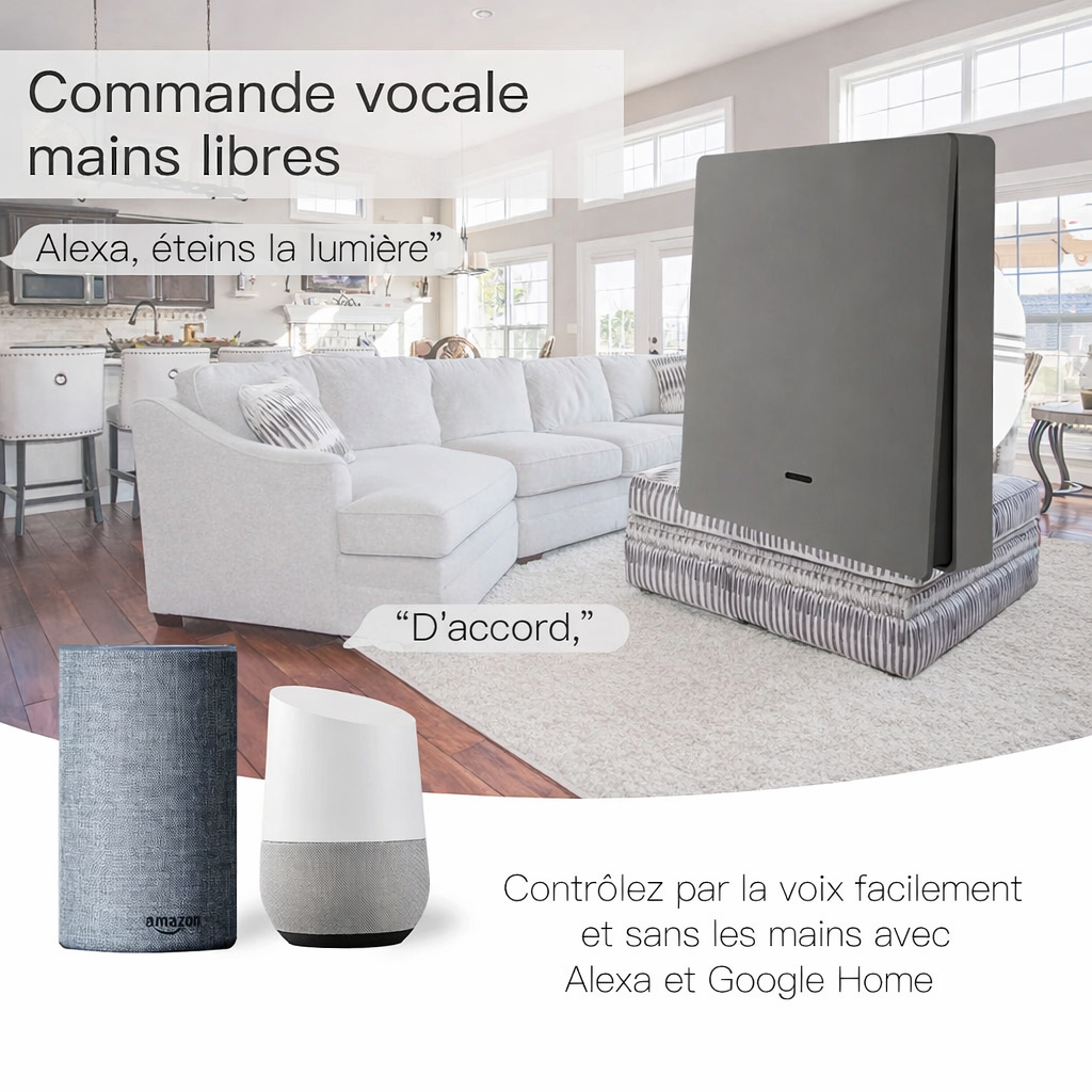 Interrupteur connecte commande vocale