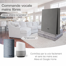 Interrupteur connecte commande vocale