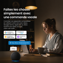 Commande vocale interrupteur connecte