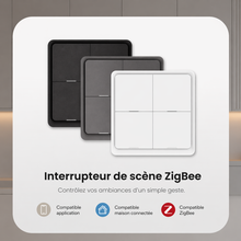 Interrupteur de scene Zigbee compatible application