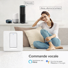 Interrupteur WiFi commande vocale Alexa Google
