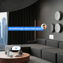 Interrupteur WiFi controle vocal salon