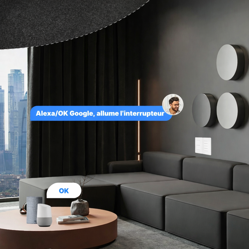 Interrupteur WiFi controle vocal salon