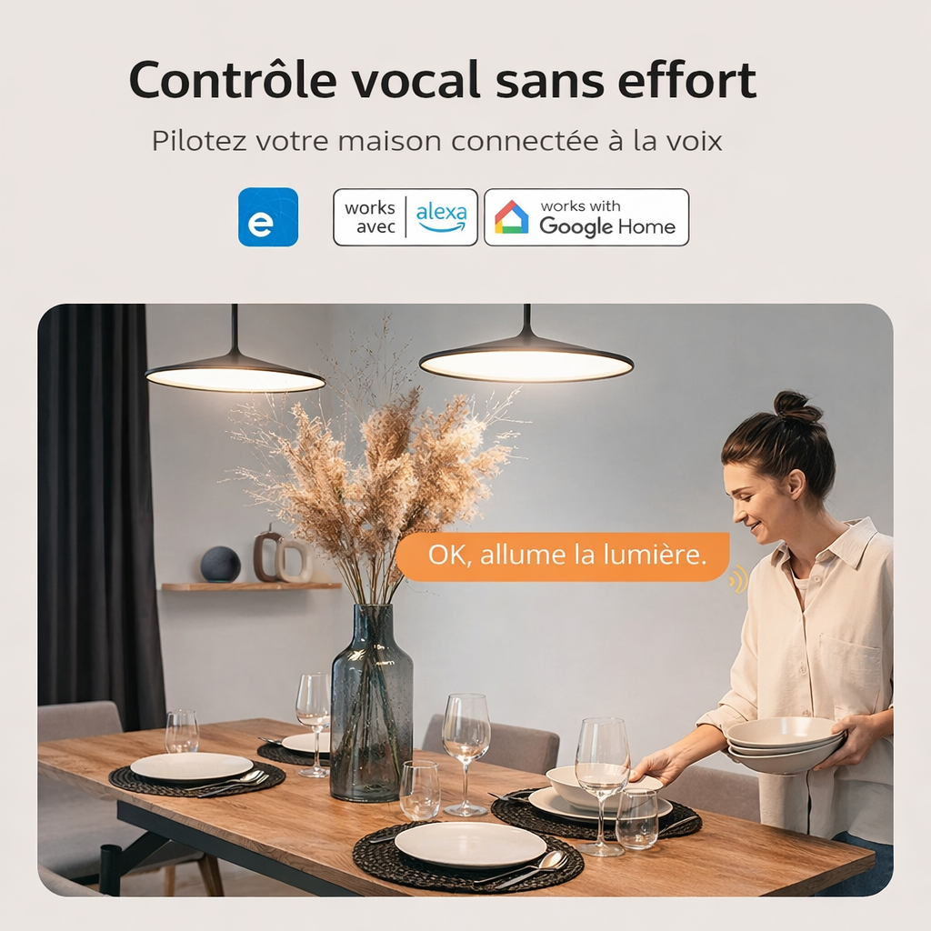 Interrupteur WiFi controle vocal sans effort