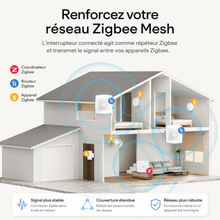 Interrupteur Zigbee reseau Mesh