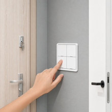 Interrupteur Zigbee utilisation entree