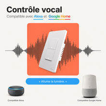 Interrupteur Zigbee controle vocal Alexa Google Home