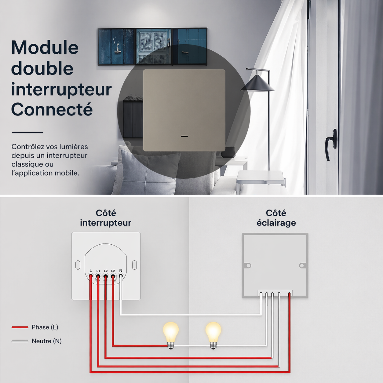 Module double interrupteur connecte cablage