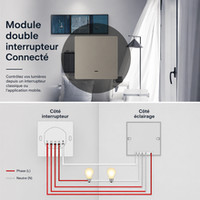 Module double interrupteur connecte cablage