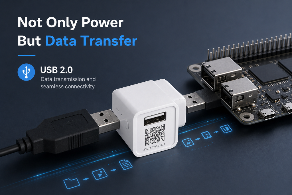 NéoBridge Micro Pro ZBMicro USB 2.0 data transfer