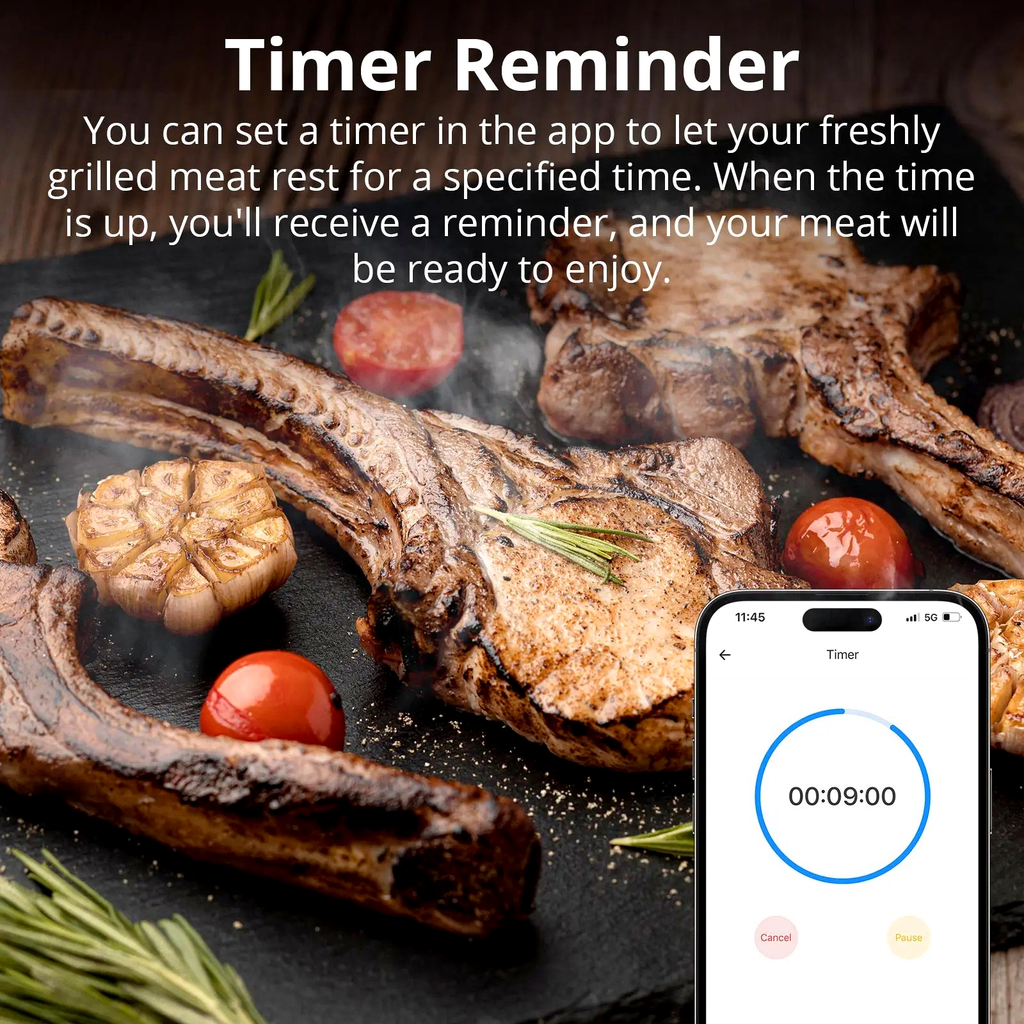 NéoCook Thermo Pro app timer reminder cooking feature