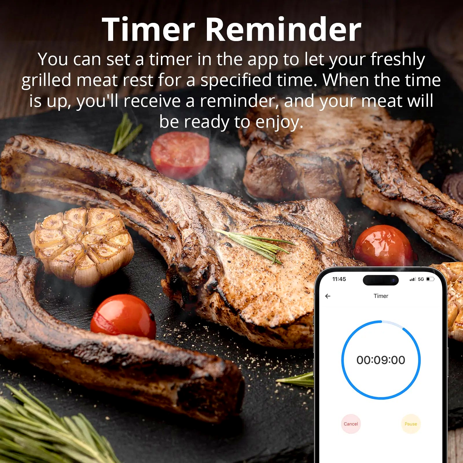 NéoCook Thermo Pro app timer reminder cooking feature