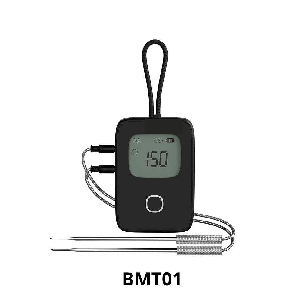 NéoCook Thermo Pro BMT01 product with two probes