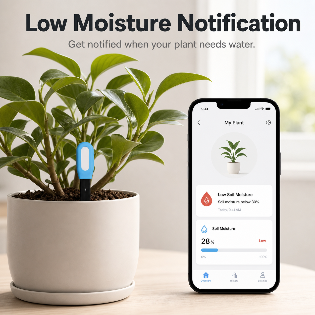 Phone notification for low soil moisture beside potted plant