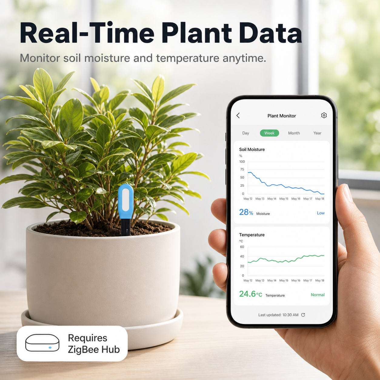 Real-time plant data app screen with soil sensor in potted plant