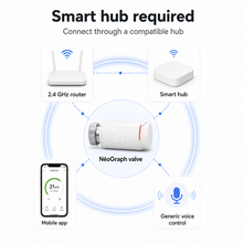 Smart hub required connection diagram for NéoGraph Comfort valve