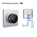 NéoHeat Essential WiFi WaterGas Boiler 3A wiring variant image