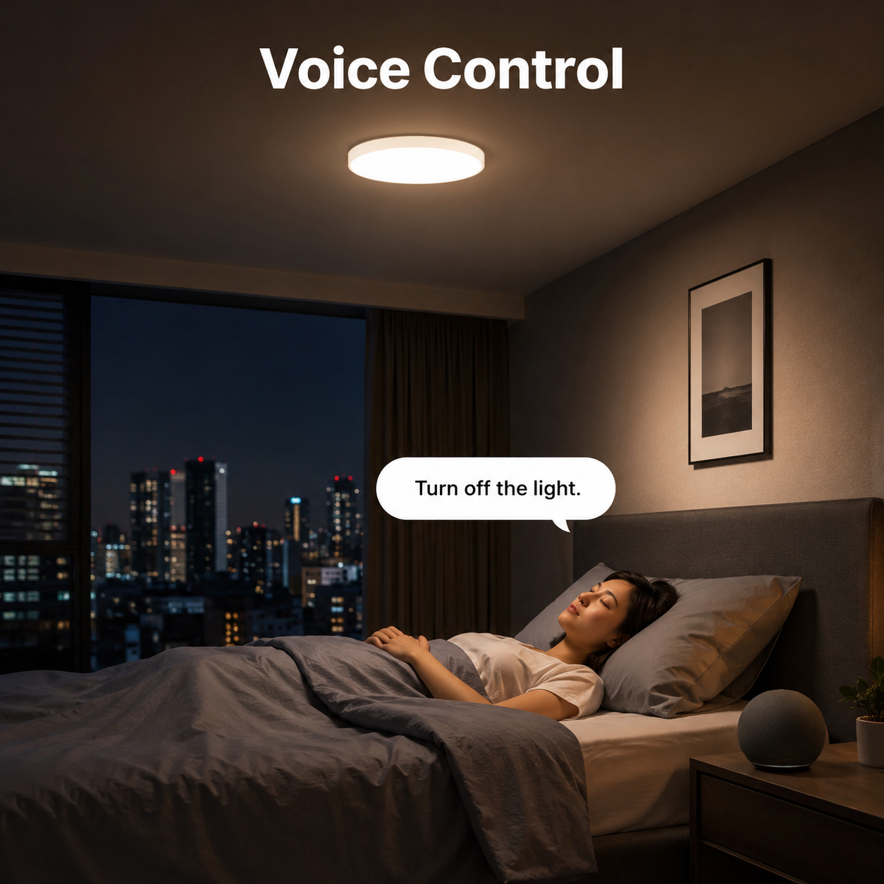 Voice control scene for smart LED ceiling light with generic assistant bubble