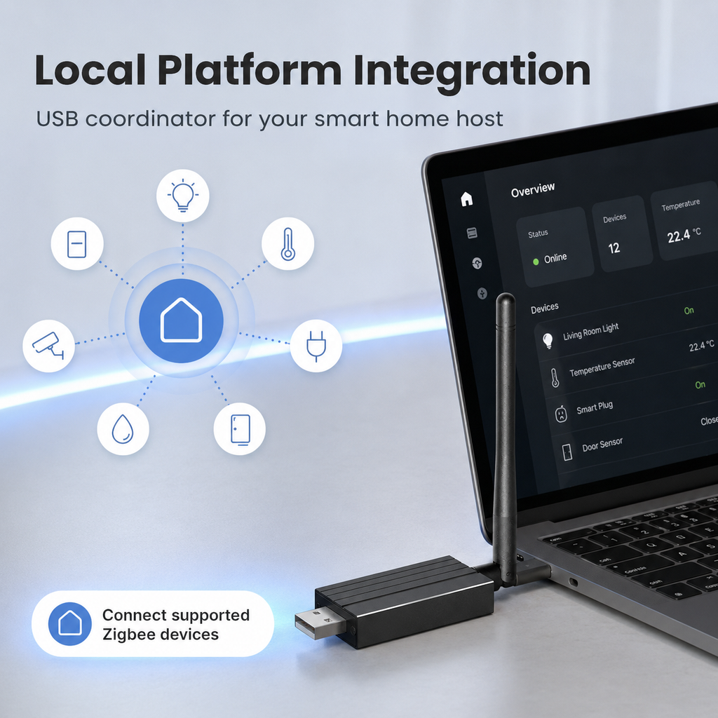 Local platform integration visual for Zigbee USB dongle
