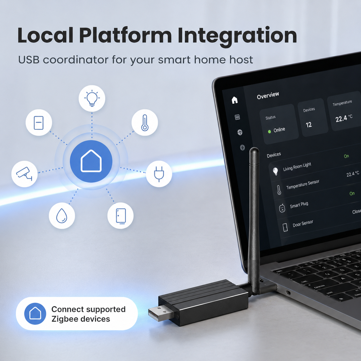 Local platform integration visual for Zigbee USB dongle