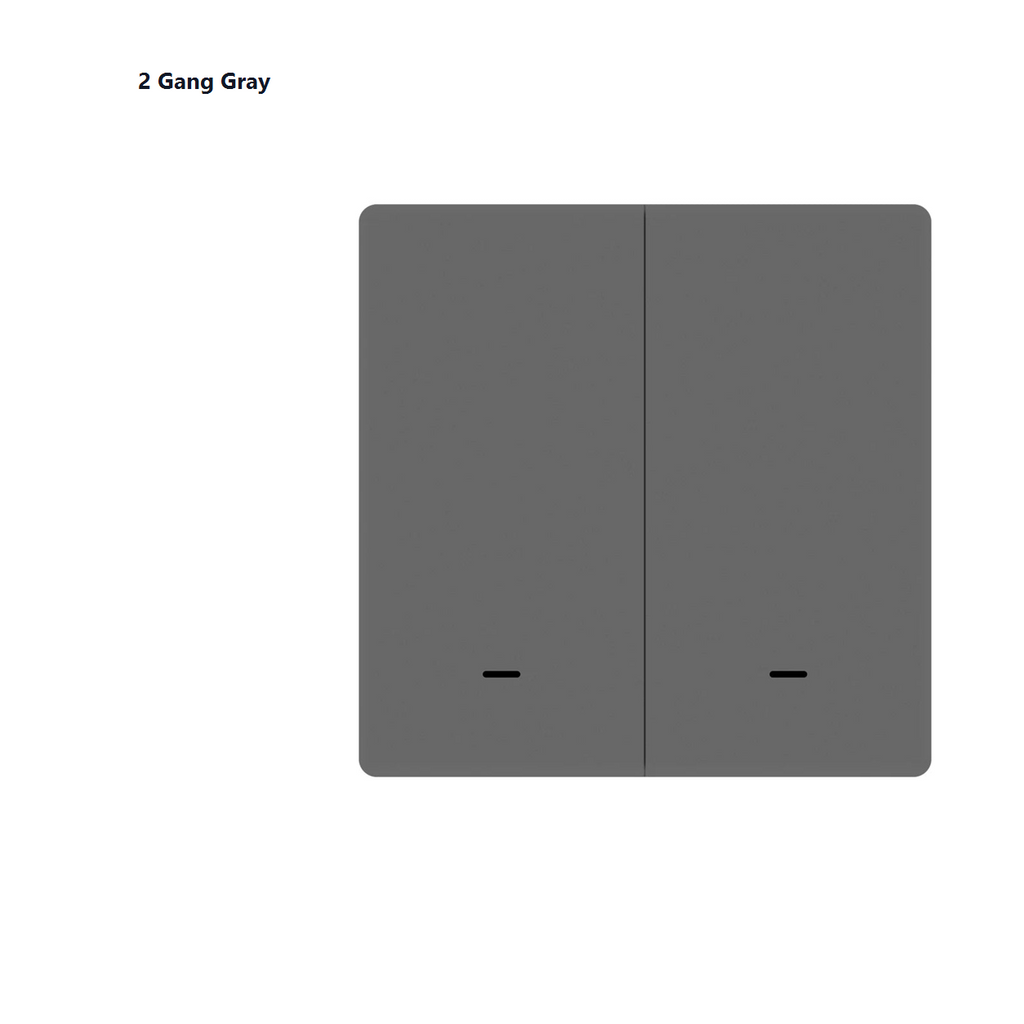 Studio packshot of gray two-gang EU smart wall switch