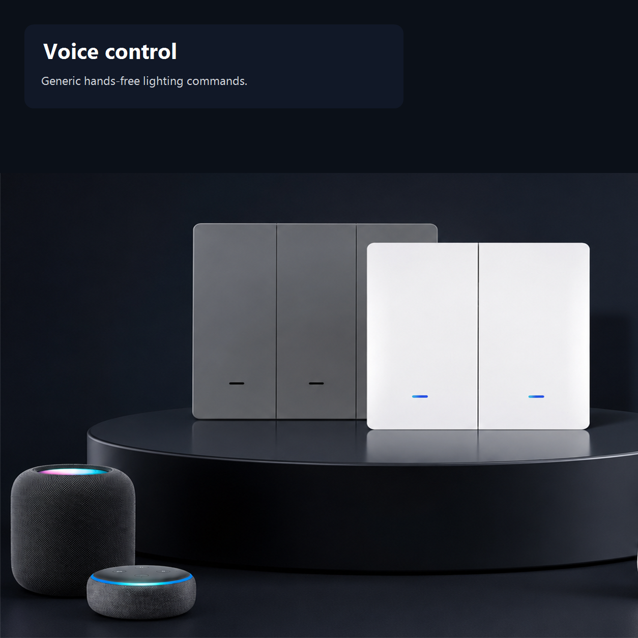 Generic voice control scene with gray and white EU smart switches