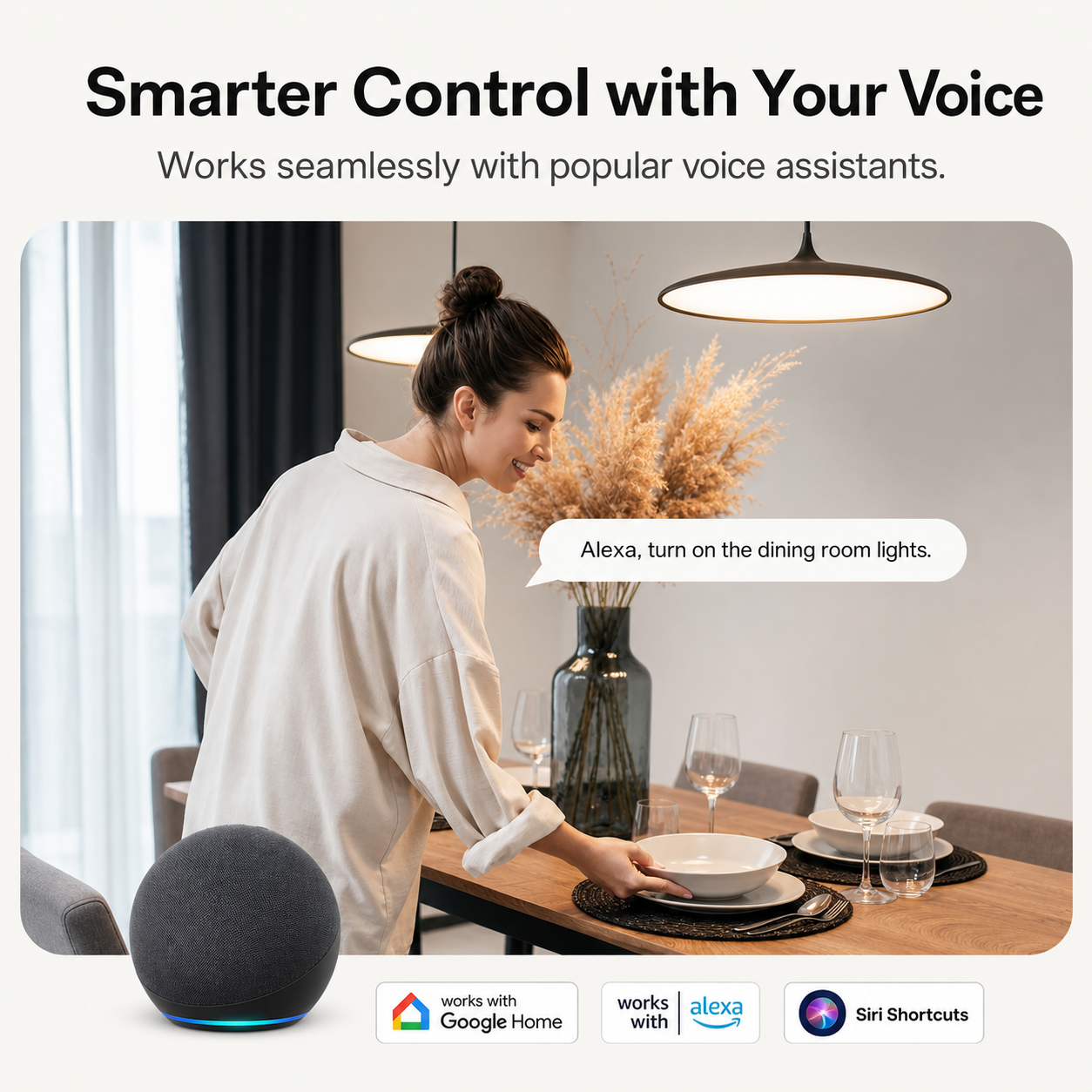 NéoRelay Duo Matter Pro voice control lifestyle feature image