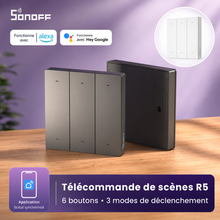 NeoRemote R5 Pro, presentation compatible eWeLink Remote.