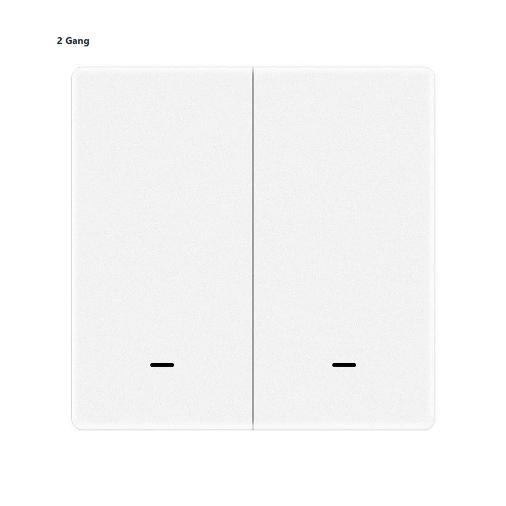 Studio packshot of white two-gang magnetic scene switch