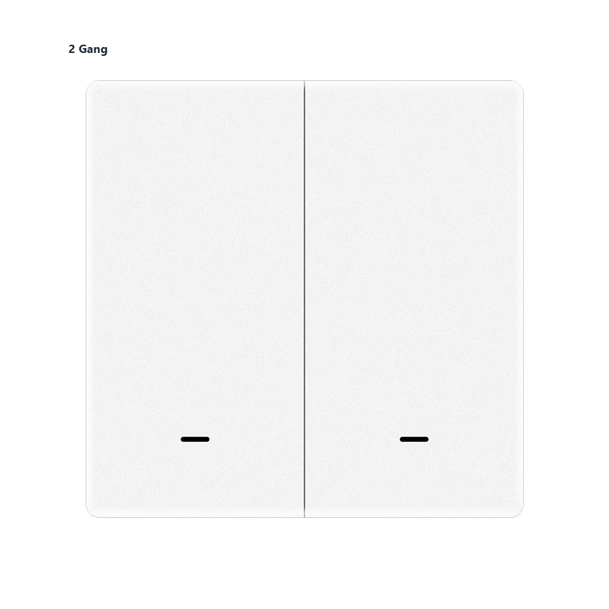 Studio packshot of white two-gang magnetic scene switch