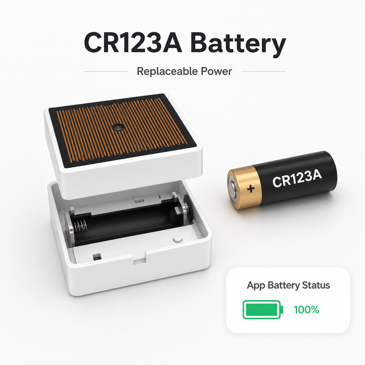 CR123A battery detail for rain and leak sensor