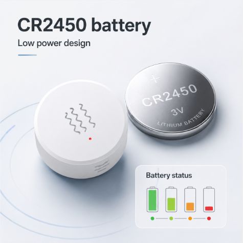 CR2450 battery and battery status for vibration sensor