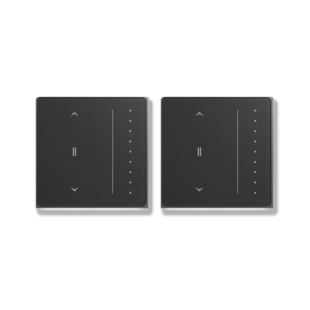 ZigBee curtain touch switch, EU gray, 2 Pack