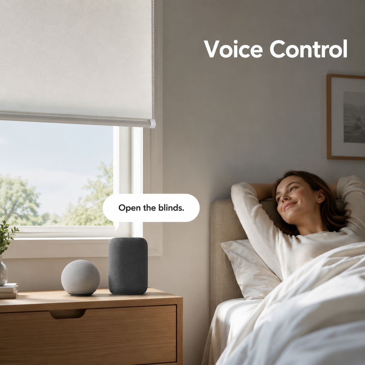 Generic voice control scene for motorized roller blinds