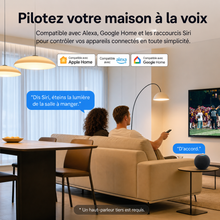 NéoSwitch Orb-Matter Dual Pro, pilotage de la maison à la voix avec assistants compatibles.