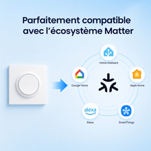NéoSwitch Orb-Matter Dual Pro, compatibilité Matter avec Google Home, Alexa, Apple Home et SmartThings.