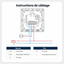 NéoSwitch Orb-Matter Pro, instructions de câblage avec bornes et fils pour installation murale.