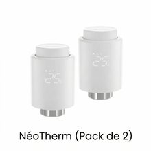 NeoTherm pack de deux vannes